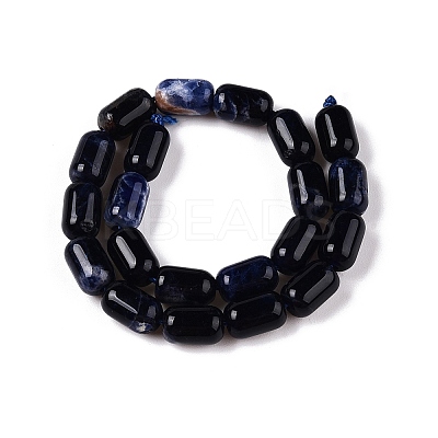 Natural Sodalite Beads Strands G-G980-37B-1