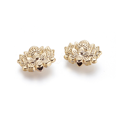 Alloy Beads KK-G365-03G-1