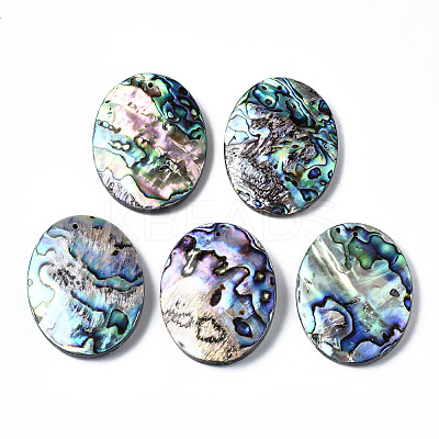 Natural Abalone Shell/Paua Shell Pendants SSHEL-N034-89-1