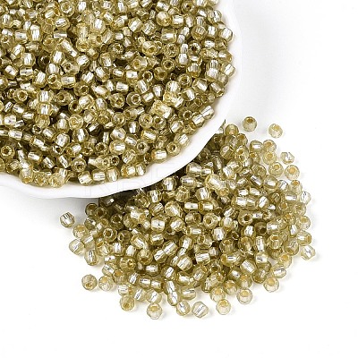 Silver Lined Glass Seed Beads SEED-T007-18A-05-1