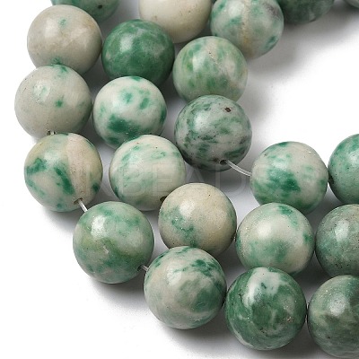 Natural Green Spot Jasper Beads Strands G-F818-A05-14mm-1