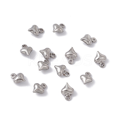 Non-Tarnish 304 Stainless Steel Charms STAS-G291-15P-1