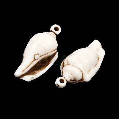 Spray Painted Opaque Acrylic Pendants ACRP-F003-03I-1