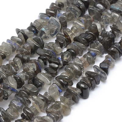 Natural Labradorite Beads Strands G-P332-54-1