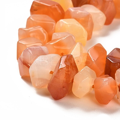 Natural Orange Botswana Agate Beads Strands G-N327-05-19-1