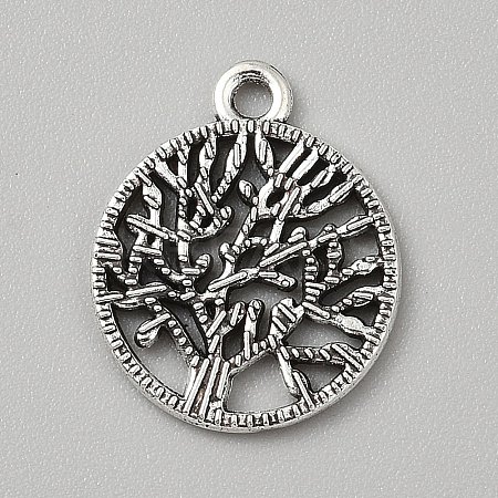 Tibetan Style Alloy Pendants FIND-WH0818-10AS-06-1
