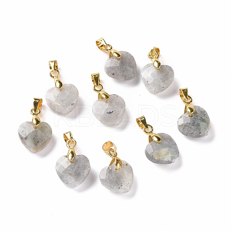 Natural Labradorite Pendants G-C023-07K-1