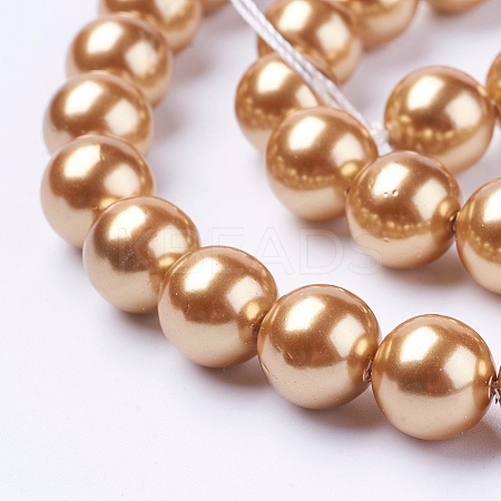 Shell Pearl Beads Strands BSHE-L035-10mm-I02-1