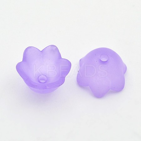 Transparent Acrylic Beads LS-X-FACR-R017-01-1