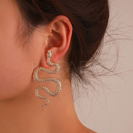 Alloy Stud Earrings EJEW-R021-03KCG-03-1