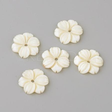 Natural Freshwater Shell Beads SHEL-Q008-53-1
