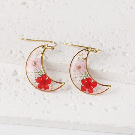 Moon 304 Stainless Steel Dangle Earrings WG43EF9-07-1