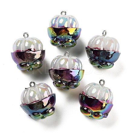 AB Color Resin Pendants LS-RESI-C051-02G-P-1