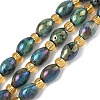 Electroplated Natural Druzy Geode Crystal Beads Strands G-G459-03B-11-1