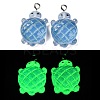 Gradient Color & Luminous Opaque Resin Pendants LS-RESI-S011-01A-2