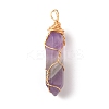 Natural Amethyst Double Terminated Pointed Pendants LS-G-TAC0010-04G-02-1