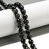 Natural Golden Sheen Obsidian Beads Strands G-E571-A01-02-2