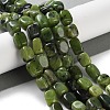 Natural Canadian Jade Beads Strands X-G-P497-01D-01-2