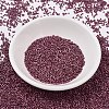 MIYUKI Delica Beads X-SEED-J020-DB2308-2