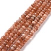 Dyed Natural Malaysia Jade Rondelle Beads Strands X-G-E316-2x4mm-42-3