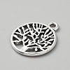 Tibetan Style Alloy Pendants FIND-WH0818-10AS-06-2