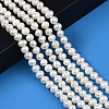 Natural Cultured Freshwater Pearl Beads Strands PEAR-N013-06B-6