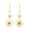 Brass Dangle Earrings EJEW-FS00017-1