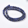 Natural Sodalite Beads Strands X-G-E110-6mm-3-2