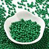 Baking Paint Glass Seed Beads SEED-H002-I-B508-2