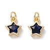 Brass Cubic Zirconia Charms FIND-Z005-02E-1
