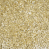 Baking Paint Transparent Glass Seed Beads SEED-N006-05B-3