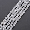 Crackle Glass Beads Strands GLAA-S192-D-006A-1
