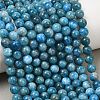 Natural Apatite Bead Strands G-P204-09-7mm-1-1