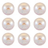 10Pcs Resin Beads PACR-TA0001-33L-2