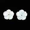 Natural White Shell Mother of Pearl Shell Beads SSHEL-T014-42B-2