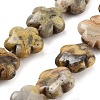 Natural Crazy Agate Beads Strands G-F769-M01-01-2