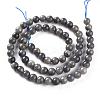 Natural Black Labradorite Beads Strands G-S333-6mm-021B-2