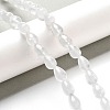 Natural Quartz Crystal Beads Strands G-B106-A28-01-2