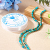 DIY Natural Regalite/Imperial Jasper/Sea Sediment Jasper Beads Bracelets  Making KIts DIY-TA0002-69A-6