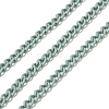 Spray Painted 304 Stainless Steel Curb Chains STAS-B067-05A-01-1