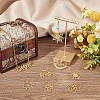 20Pcs 10 Style Ion Plating(IP) 201 & 304  Stainless Steel Pendants STAS-SC0004-74-4