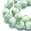 Natural Glass Beads Strands G-K245-A13-05-3