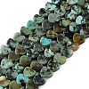 Natural African Turquoise(Jasper) Beads Strands G-M403-A26-02-1
