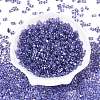 Baking Paint Transparent Glass Seed Beads SEED-N006-05H-2