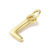 Rack Plating Brass Charms KK-P245-06G-L-2