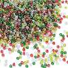 4 Colors 11/0 Christmas TOHO Round Seed Beads SEED-X0058-26-1