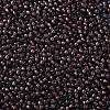 TOHO Round Seed Beads X-SEED-TR11-0382-2