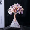 Natural Fluorite Chips Tree Decorations PW-WG80578-09-1