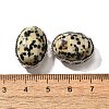 Natural Dalmatian Jasper Multi-Strand Links KK-M304-03P-17-3