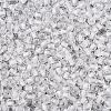 FGB Grade A Transparent Glass Seed Beads SEED-Q040-03A-12-4